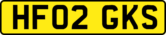 HF02GKS
