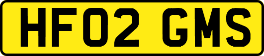 HF02GMS