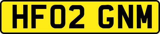HF02GNM