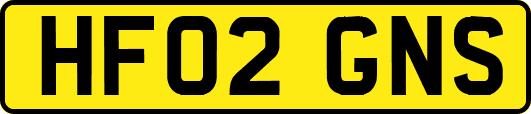 HF02GNS