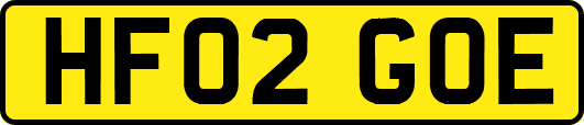 HF02GOE