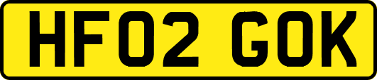 HF02GOK