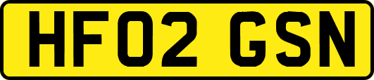 HF02GSN