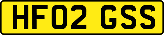 HF02GSS