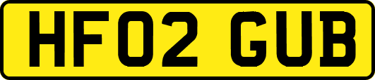 HF02GUB