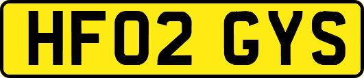 HF02GYS