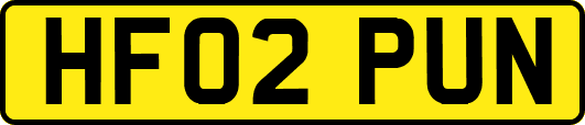 HF02PUN