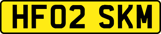 HF02SKM
