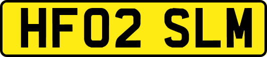 HF02SLM