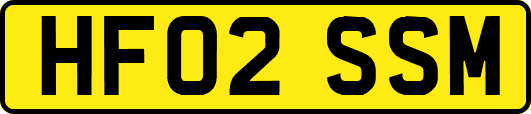 HF02SSM