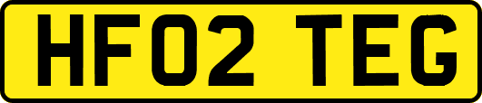 HF02TEG