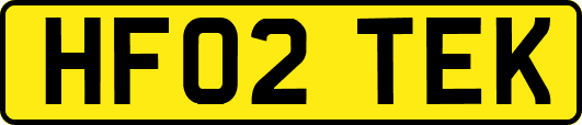 HF02TEK