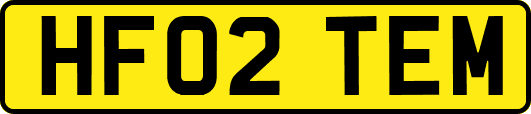 HF02TEM