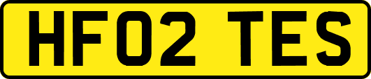 HF02TES