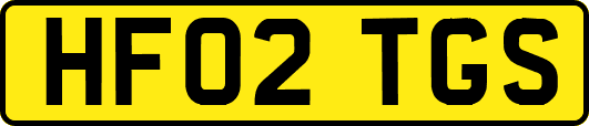 HF02TGS