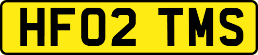 HF02TMS
