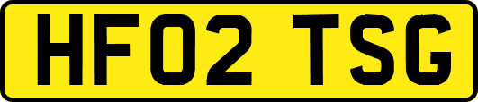 HF02TSG
