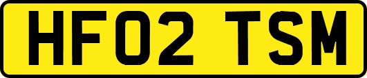 HF02TSM
