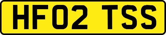 HF02TSS