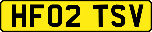HF02TSV