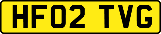 HF02TVG