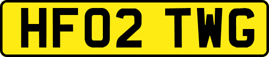 HF02TWG