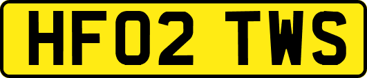 HF02TWS