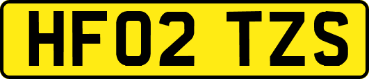 HF02TZS