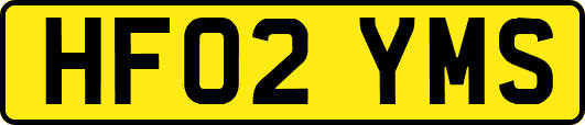 HF02YMS