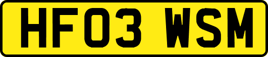 HF03WSM