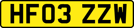 HF03ZZW