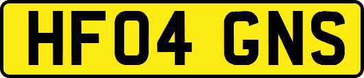 HF04GNS