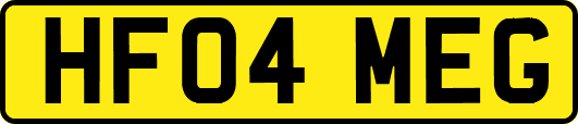 HF04MEG