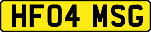 HF04MSG