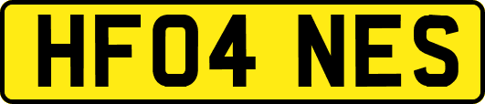 HF04NES