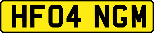 HF04NGM