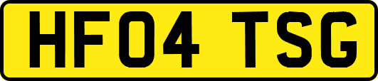 HF04TSG
