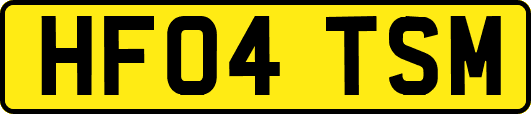 HF04TSM