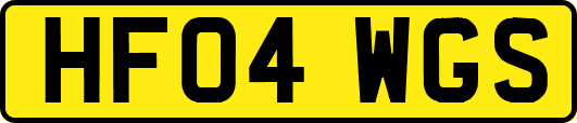 HF04WGS