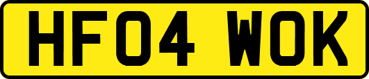 HF04WOK