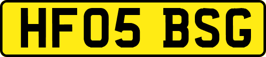 HF05BSG
