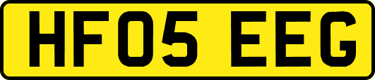 HF05EEG