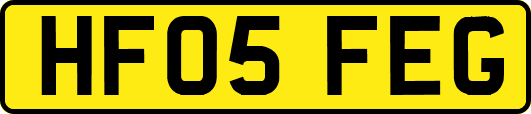HF05FEG