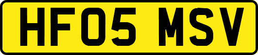 HF05MSV