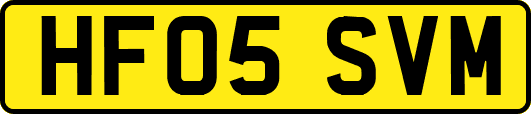 HF05SVM