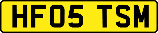 HF05TSM
