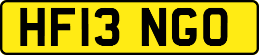 HF13NGO
