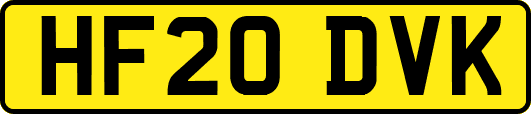 HF20DVK