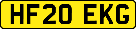 HF20EKG