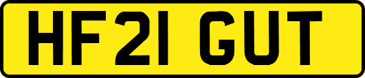 HF21GUT